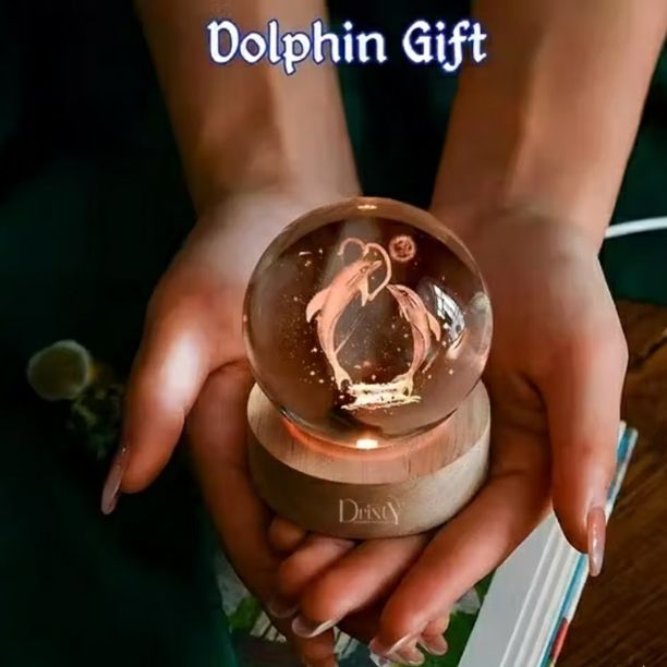 Dolphin Crystal with LED Wooden in hand